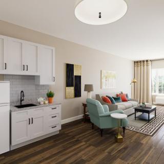 A modern living room with a kitchenette, featuring a comfortable sofa, coffee table, and stylish decor.