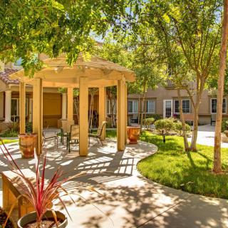 A sunny garden with a pergola and lush landscaping.