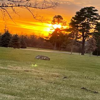A serene sunset casting warm hues over a grassy field, framed by tall trees.