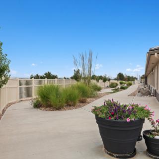 A peaceful outdoor pathway lined with potted plants and a white fence under a clear blue sky.