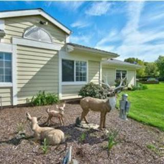 A suburban house with a well-maintained yard featuring deer statues and a clear blue sky.