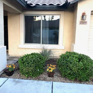A cozy home exterior featuring well-kept bushes and colorful flowers in the garden.