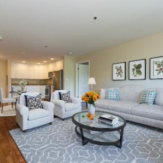 A beautifully designed living room featuring a comfortable sofa, stylish armchairs, and decorative elements for an inviting atmosphere.