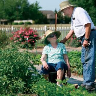 An elderly couple enjoying a day of gardening together.