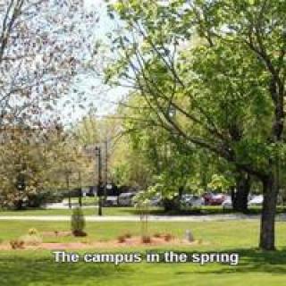 A scenic view of the campus in the spring.