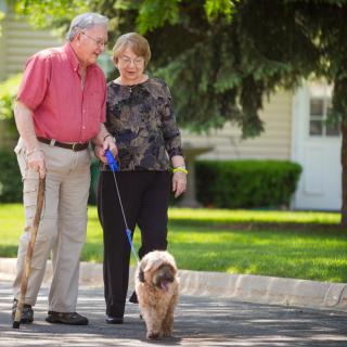 An elderly couple enjoys a walk with their dog in the park.