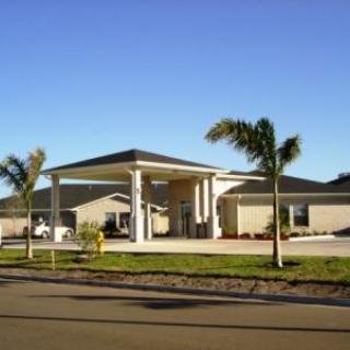 A modern building surrounded by palm trees under clear blue skies.