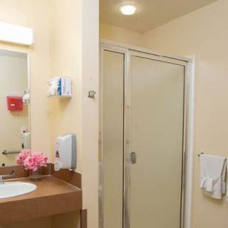A clean and modern bathroom with a sink, mirror, shower, and decorative flowers.