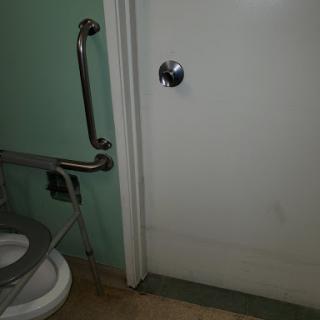 A view of a bathroom door with a grab bar beside the toilet.
