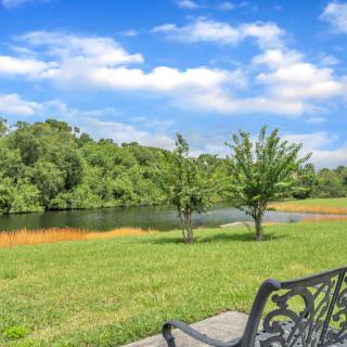 A peaceful park scene featuring a bench overlooking a tranquil lake surrounded by lush greenery.