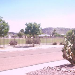 A sunny desert road lined with trees and cacti, with a fence and mountain in the background.