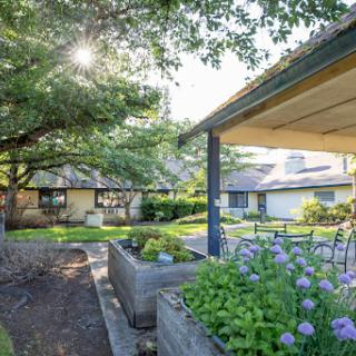 A serene view of a garden area with blooming flowers and sunlit surroundings.