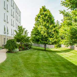 A peaceful garden scene with lush grass and trees alongside a building.