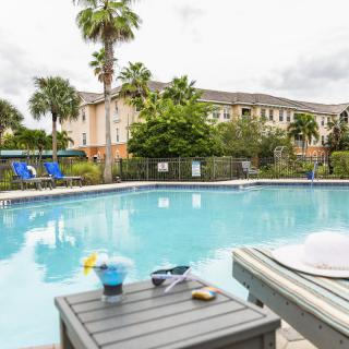 A relaxing outdoor pool area at a resort, surrounded by palm trees and lounge chairs.