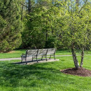 A peaceful park scene with benches and lush greenery.