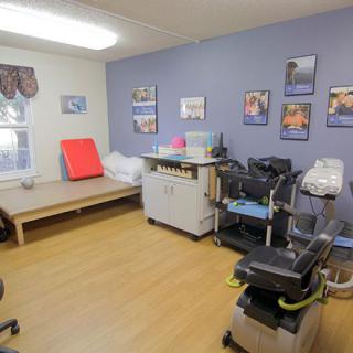 A well-equipped physical therapy treatment room with exercise equipment and informative posters on the walls.