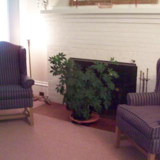 A cozy living room with two upholstered chairs, a potted plant, and a fireplace.