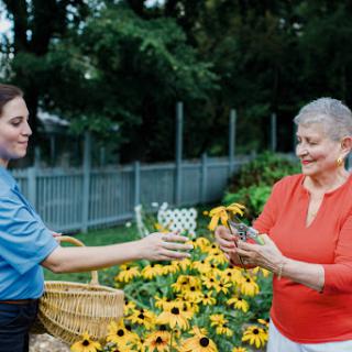 Two women exchanging plants in a vibrant garden filled with sunflowers.