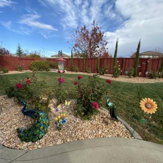 A beautifully landscaped garden with colorful flowers, trees, and a red wooden fence under a blue sky with clouds.