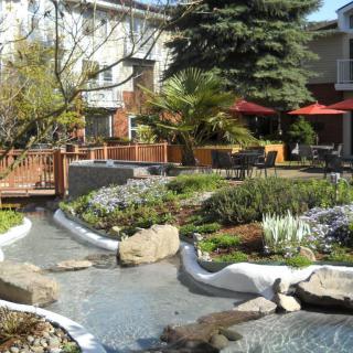 A beautiful garden with a flowing stream and a small bridge, surrounded by trees and outdoor seating in a residential area.