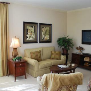 A cozy living room with a sofa, decorative pillows, and artwork on the wall.
