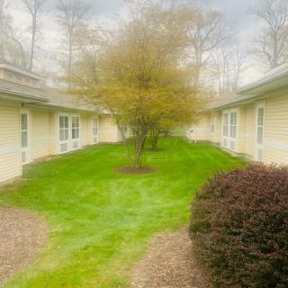 A serene courtyard with a central tree, surrounded by buildings and neatly maintained landscaping.