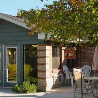 A cozy patio area with outdoor seating surrounded by trees, casting shadows in the sunlight.