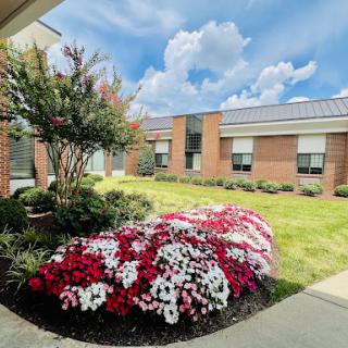 A serene garden featuring vibrant flowers against a backdrop of buildings and a bright sky.