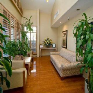 A cozy living room with wooden flooring, featuring comfortable seating and an array of indoor plants for a refreshing ambiance.