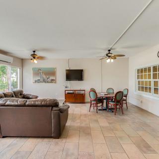 A spacious living room with a sofa, dining table, and television, featuring large windows and ceiling fans.