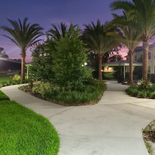A tranquil pathway surrounded by lush greenery and palm trees, illuminated by the soft glow of twilight.