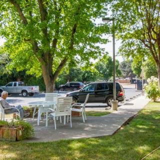 A peaceful outdoor patio with tables and chairs under the shade of trees, adjacent to a street with parked cars.