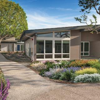 A beautifully designed modern home surrounded by a vibrant garden and a welcoming pathway.