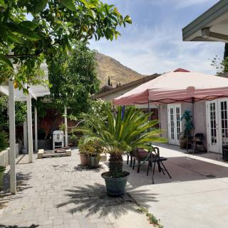 A sunny patio with outdoor seating, a large umbrella, and lush greenery.