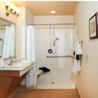 A modern, handicap-accessible bathroom with a walk-in shower and sink.