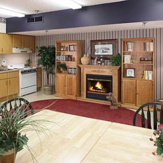 Cozy kitchen and dining area with a fireplace, wooden shelving, and plants.