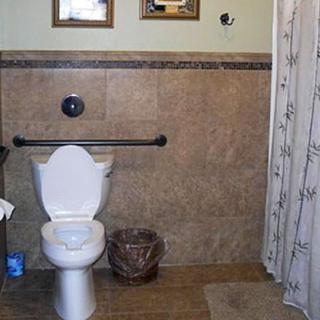 A bathroom with a toilet, tiled walls, and a shower curtain.