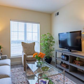 A cozy living room featuring a sofa, armchair, television, and coffee table adorned with flowers, illuminated by natural light from a window.
