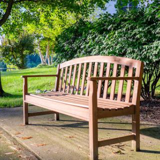 A charming wooden bench nestled in a serene park setting, surrounded by lush greenery.