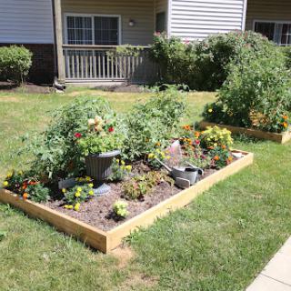 A vibrant garden featuring a variety of vegetables and flowers, showcasing the beauty of outdoor cultivation.