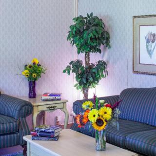 A cozy living room with striped sofas, a coffee table adorned with fresh flowers, and a houseplant adding greenery to the decor.