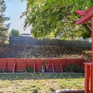 A backyard with a red fence, green grass, and tree offering shade.