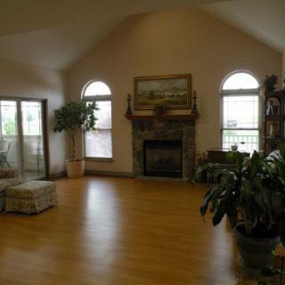 A spacious living room with a fireplace and vaulted ceiling, featuring hardwood floors and indoor plants.