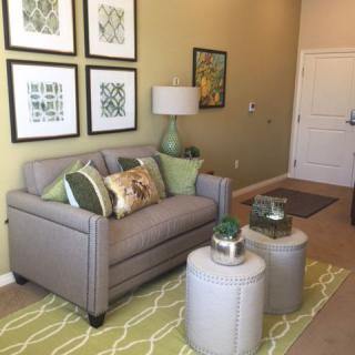 A cozy living room with a gray sofa adorned with green and patterned pillows, complemented by wall art and modern furnishings.