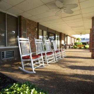 A row of rocking chairs on a sunny porch, inviting relaxation.