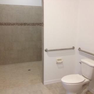 An accessible bathroom with a toilet and a walk-in shower.