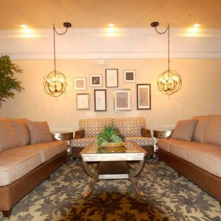 A cozy living room featuring two sofas, a central coffee table with a plant, framed art on the wall, and elegant pendant lighting.