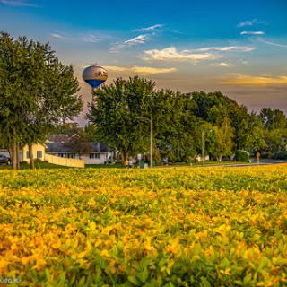 A serene landscape showcasing lush fields under a vibrant sky at sunset.