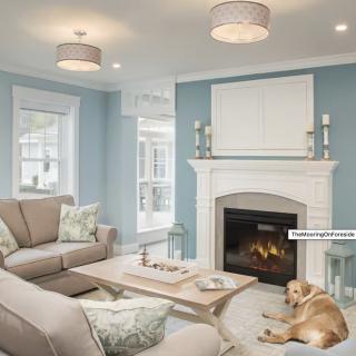 A cozy living room with a modern design, featuring a fireplace, comfortable sofas, and a relaxed dog on the floor.