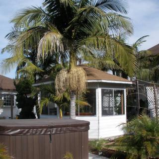 South Coast Manor C